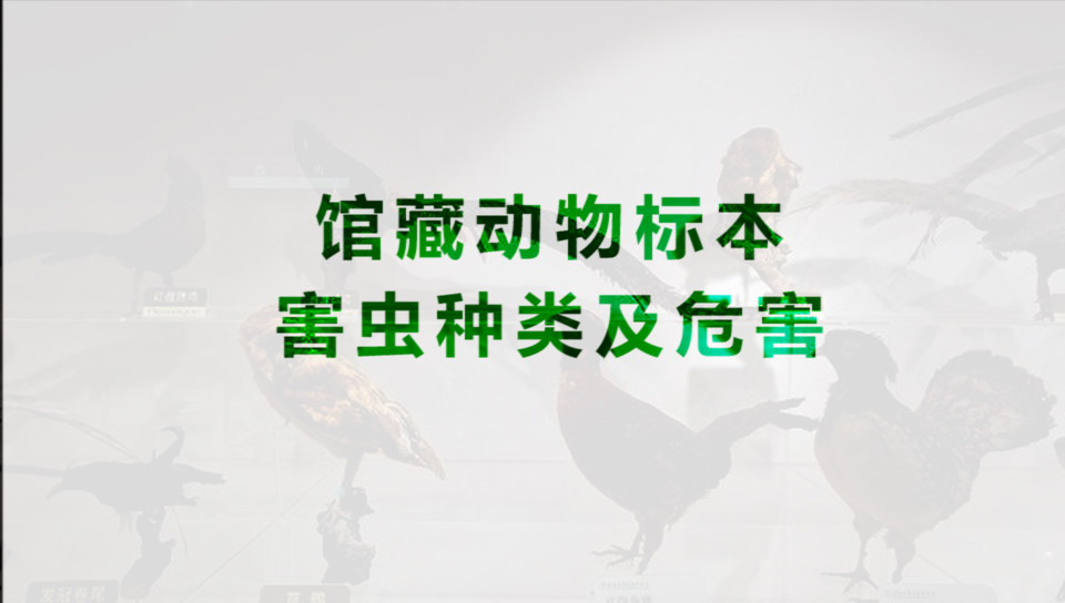 館藏動物標本害蟲種類及危害